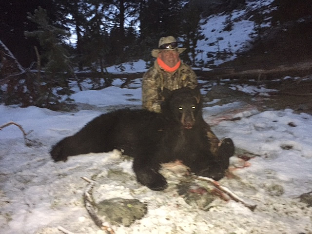 black-bear-hunt